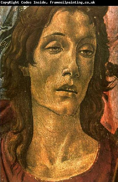 BOTTICELLI, Sandro San Barnaba Altarpiece (detail: head of St John) gdfg